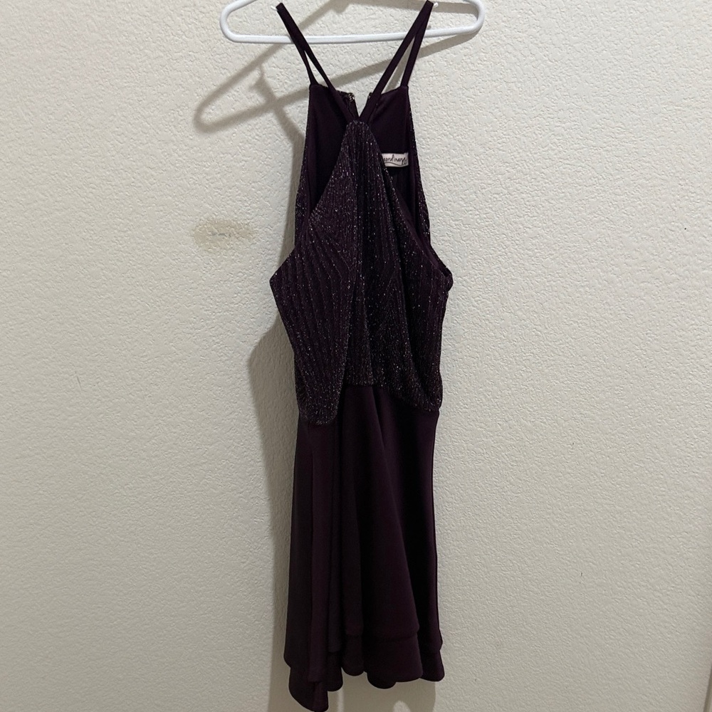 Xtraordinary Sparkling Plum Dress